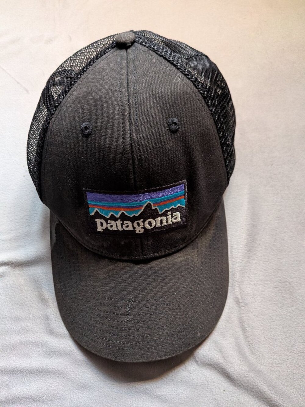 Patagonia P-6 Logo LoPro Trucker Hat